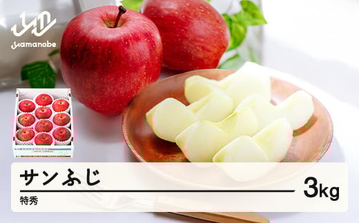 【先行予約】りんご サンふじ 約3kg 特秀品 リンゴ 林檎 令和7年産 2025年産 果物 山形県産 mm-risft3