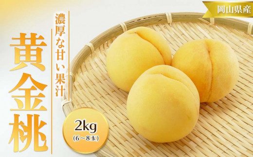 
                  桃 2026年  黄金桃 2kg 6～8玉 もも モモ 岡山 国産 フルーツ 果物 ギフト 桃茂実苑
                