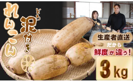 【先行予約】大人気！佐賀県産泥付きれんこん（3kg） もりながファーム