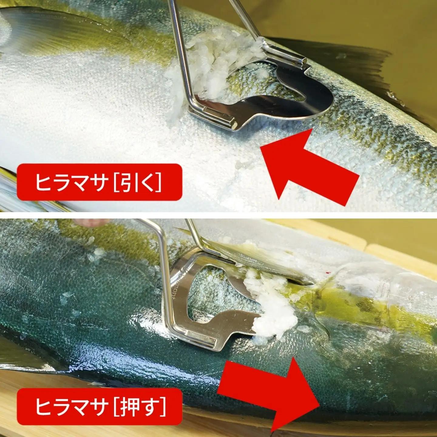 [ベルモント]  ウロコ2wayリムーバー 固定式 うろこ取り フィッシング 燕三条