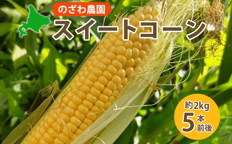 2025年 先行予約 【 のざわ農園 】スイートコーン 5本 前後（約2kg） とうもろこし コーン とうきび 北海道 日高産