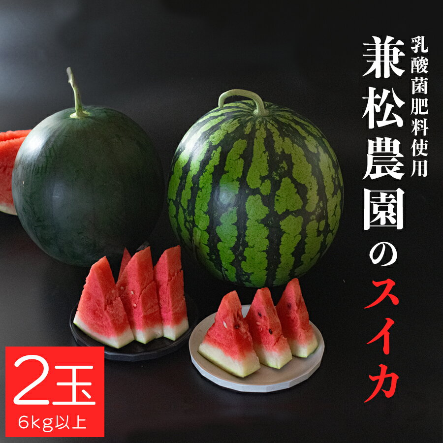 【ふるさと納税】朝採れ すいか 2玉 大玉スイカ （6kg以上） 【先行予約 7月中旬頃より発送】 甘い あまい スイカ 西瓜 紅まくら ブラックジャック 種なし 新鮮 旬 果物 フルーツ 野菜 朝穫り 期間限定 夏ギフト お中元 兼松農園 高知県 大月町産
