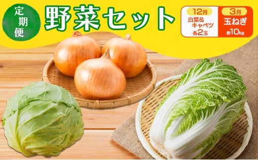定期便 2回 野菜セット 12月(白菜 2玉・キャベツ 2玉)、3月(玉ねぎ 約10kg) セット ※配送不可：離島