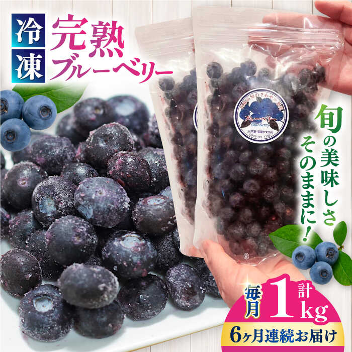 【ふるさと納税】【全6回定期便】旬の美味しさそのまま！冷凍 完熟ブルーベリー 計1kg (約500g×2パック) ブルーベリー 冷凍フルーツ 果物 くだもの フルーツ フローズンブルーベリー 完熟 小分け スムージー 【マルク ザ・ガーデン】[YDI003]