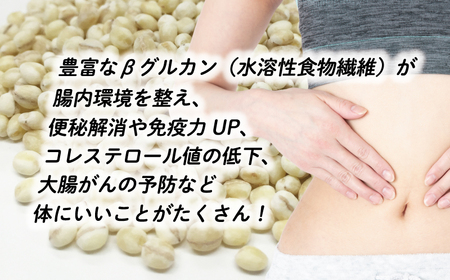 はだか麦 900g × 5 はだか 麦