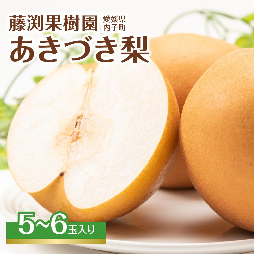 【ふるさと納税】藤渕果樹園のあきづき梨（1）【5～6玉入り】 | フルーツ 果物 くだもの 食品 人気 おすすめ 送料無料