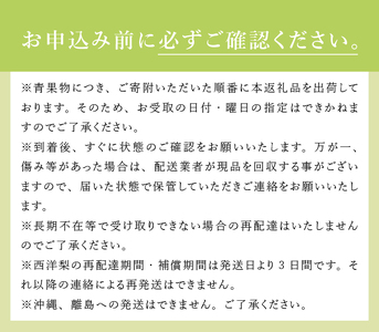 【2024年先行予約】糖度14度以上の極上品　大玉西洋梨 約1.5㎏（4～8個）
