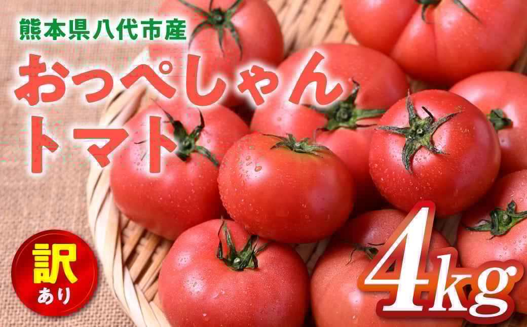 
            【先行予約】 訳あり おっぺしゃんトマト 4kg トマト とまと 野菜 やさい 旬の野菜 新鮮な野菜 地元産野菜 ご当地 国産 特産品 家庭用 食卓 【2025年11月上旬より順次発送】
          