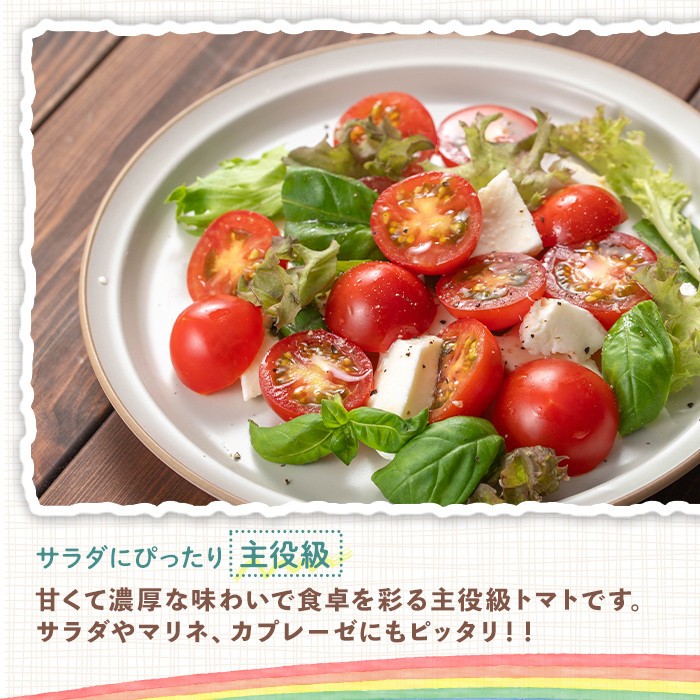 再エネと次世代農法が育んだ高糖度フルーツトマト約400g フルティカ 濃厚 野菜 甘い 茨城県 フルーツトマト おつまみ 中玉トマト トマト やさい 完熟 お弁当 贈り物 サラダ 産地直送 プレミアム
