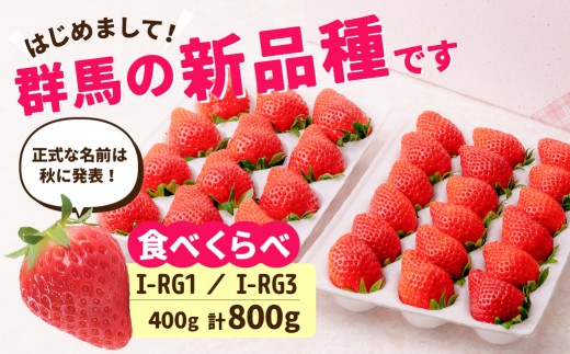 いちご 食べ比べ 新品種 群馬 RG-1 RG-3 800g 2027年 先行予約｜ 朝採れ 新品種 たっぷり 贈答用 新鮮 特大 完熟 いちご 旬 苺 ストロベリー 高級 産地直送 果汁 甘い あまい 人気 高評価 減農薬 有機肥料 生産 生産量 産地 王国 高糖度 エコファーマー ごほうび プレゼント 群馬県 前橋市