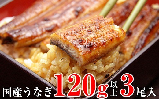 
                  国産うなぎ蒲焼120ｇ 3本セット(A994-1)
                