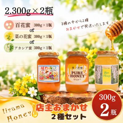 ふるさと納税 飯山市 国産 はちみつ 店主おまかせ 300g 2種セット《百花蜜・菜の花蜜・アカシア蜜より2種》芳川養蜂場