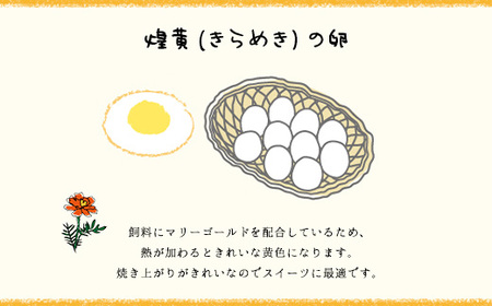 3ヶ月定期便 たまごやとよまる 煌黄20個 SMAS004