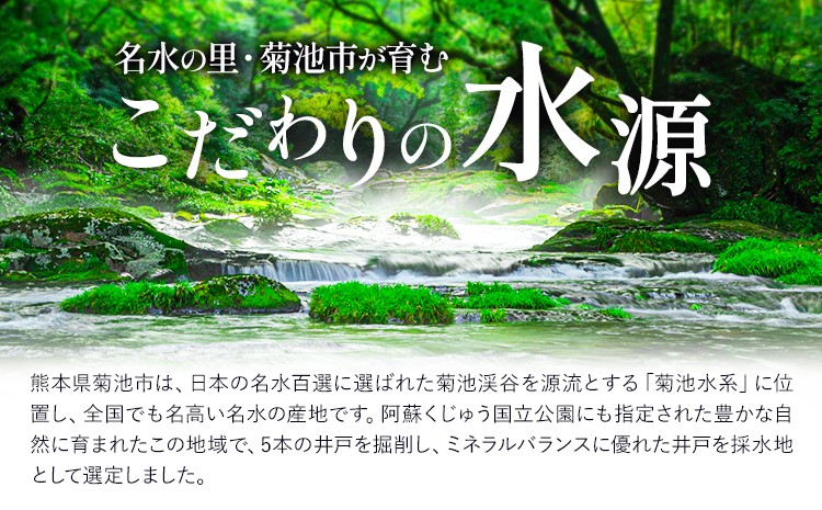 浸みわたる水素水 計6L（500ml×12本）