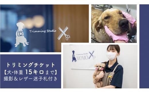 
トリミングチケット【犬15kgまで】撮影＆レザー迷子札付き【犬 ドッグ わんちゃん ペットトリミング チケット 体験】
