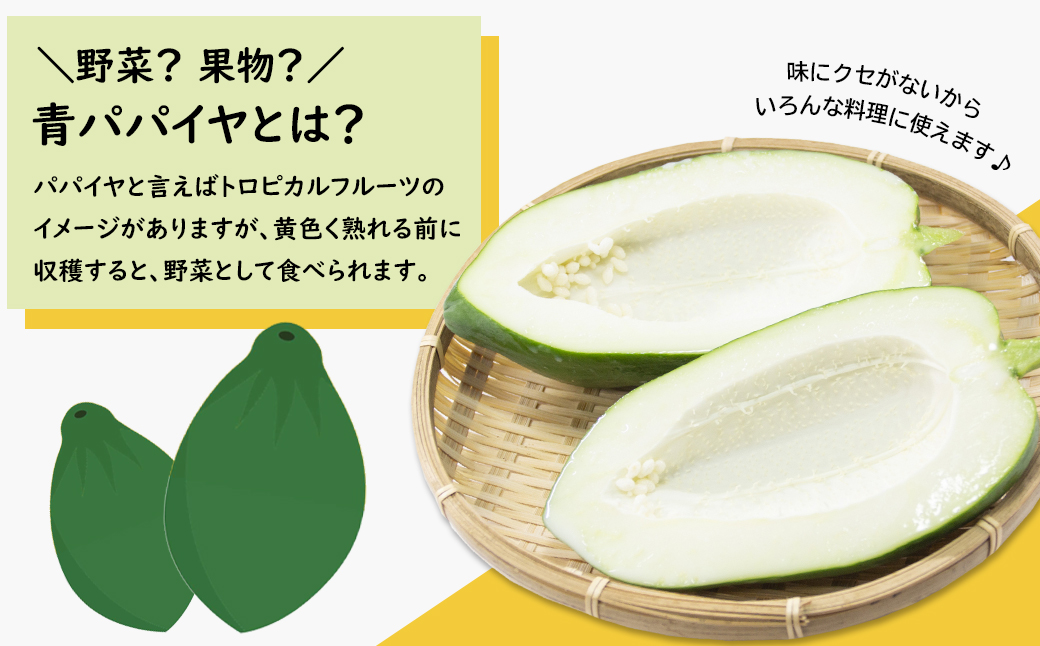淡路の青パパイヤ 約800g×3個セット　国産 無農薬栽培 スーパーフード