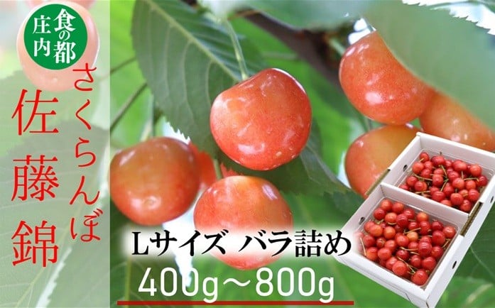 
                  ★先行予約★【令和8年産】食の都庄内　庄内産さくらんぼ「佐藤錦」Lサイズ バラ詰め　※選べる容量【400g/500g/600g/800g】　※令和8年6月中旬～下旬頃発送予定
                