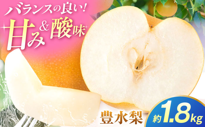 【先行予約】豊水梨　約1.8kg 梨 ナシ フルーツ 果物 【日本フルーツ株式会社】 [ZFJ059]