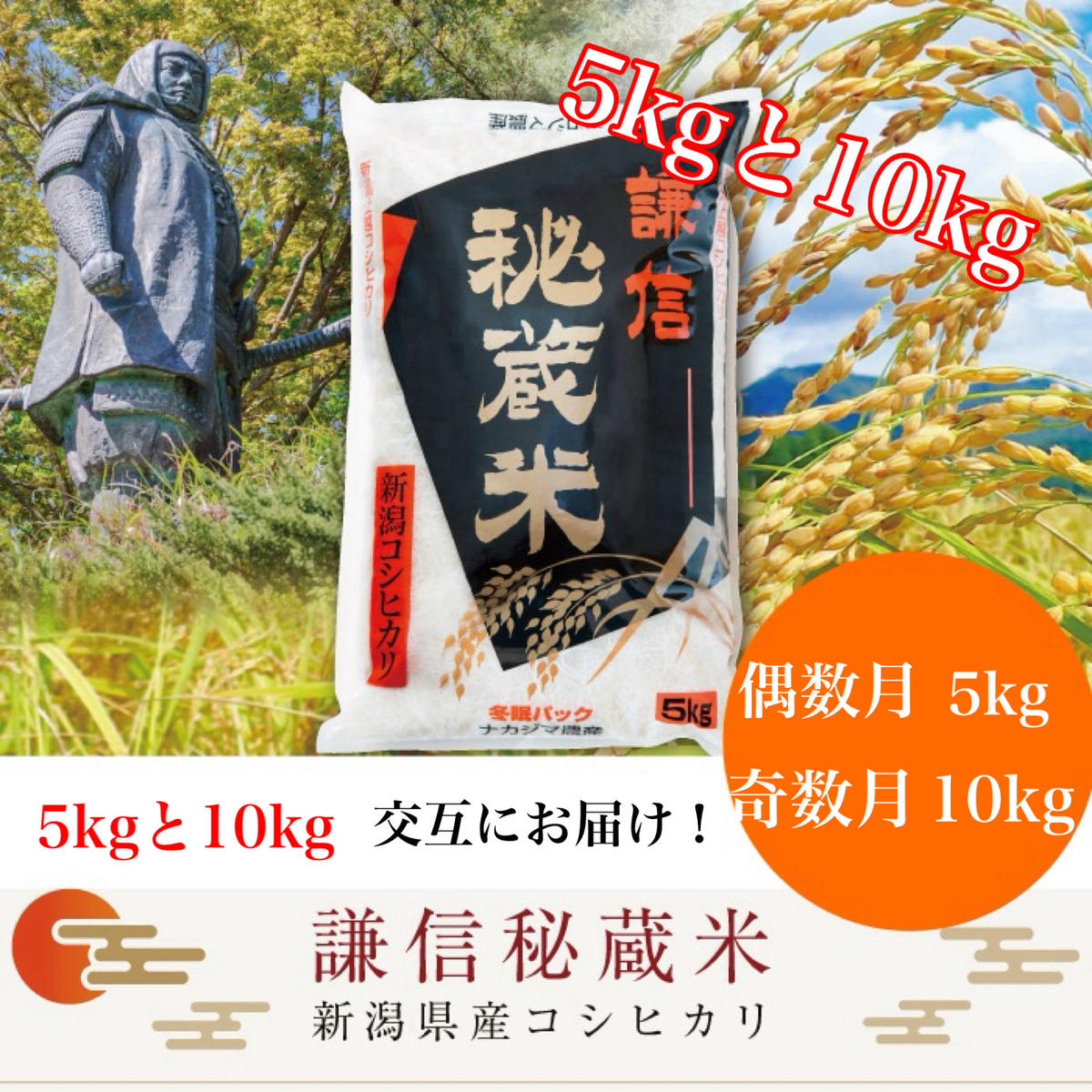令和7年産 定期便 12回 月替わり発送(偶数月5kg奇数月10kg)(全12回) 5kg 10kg 米 新潟県産 コシヒカリ  精白米 謙信秘蔵米  お米  こめ コメ おこめ おすすめ こしひかり 新潟 にいがた 新潟米 上越 上越産 上越米 ふるさと納税 定期便 人気