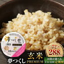 【ふるさと納税】【3・6・12ヶ月 定期便】夢つくし 玄米 PREMIUMパック 160g×24パック 合計72～288パック 3ヶ月 6ヶ月 12ヶ月 米 お米 玄米 パックごはん ご飯パック 国産 九州 福岡県 大刀洗町 送料無料