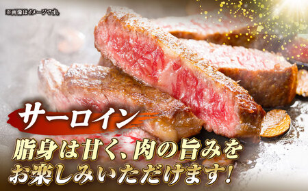 長崎和牛 サーロイン ヒレ ステーキセット 各2枚 《壱岐市》【KRAZY MEAT】 A5 A4 冷凍 和牛 肉 牛肉 BBQ 詰め合わせ 贈り物[JER101]