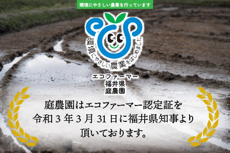 【先行予約】【令和8年産 新米】【有機栽培】エコファーマー認定農家栽培 コシヒカリ5kg（白米）【2026年10月より順次発送】 [A-001086]
