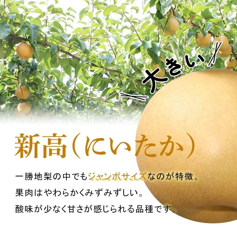 FKP9-653【先行予約】一勝地梨/新高 約5kg 梨 なし ナシ 梨 デザート フルーツ 果物 くだもの 果実 食品