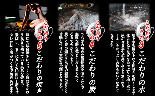 D-6 うなぎの蒲焼　２尾入り