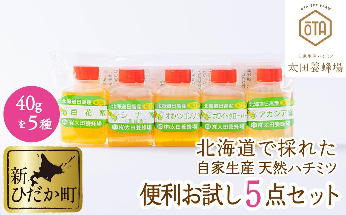 北海道産 はちみつ 5種 各40g お試し 食べ比べ セット