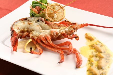 【麻布十番】ブルガズ アダ ディナーコース 4名様（1年間有効） お店でふるなび美食体験 FN-Gourmet460432