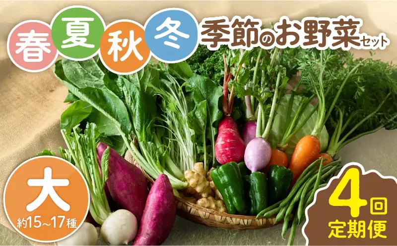 【全４回定期便】春夏秋冬 季節のお野菜セット（サイズ大/約15～17種） 【宮崎県 定期便 詰め合わせ 新鮮 産地直送 おまかせ 季節の野菜 ボックス 農家直送 有機栽培 送料無料 オーガニックのまち 宮崎県綾町】＿A0053-015