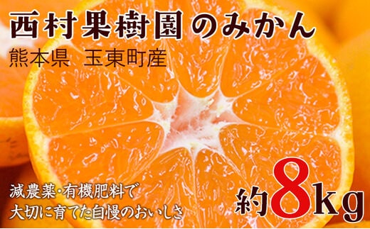 
										
										『西村果樹園』のみかん★約8kg(2S-2Lサイズ) 予約受付中 フルーツ 秋 旬★熊本県玉名郡玉東町 みかん 減農薬・有機肥料で育てた自慢のおいしさ！《10月上旬-1月下旬頃より順次出荷》---sg_nkjmikan_ak101_24_14000_8kg---
									