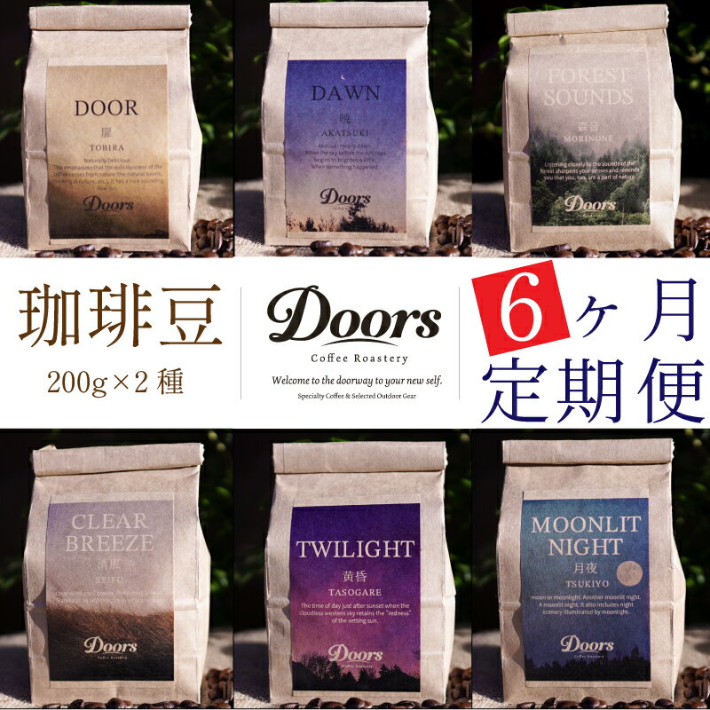 【ふるさと納税】定期便 Single Origin コーヒー豆 全6回 6種 (200g×2種×6回) (シングルオリジン スペシャルティコーヒー スペシャリティ 豆 6ヶ月 ブレンド シングル 珈琲 自家焙煎 京都 笠置町