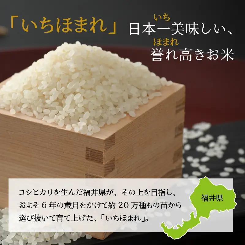 いちほまれ 4kg 精米 いちほまれ