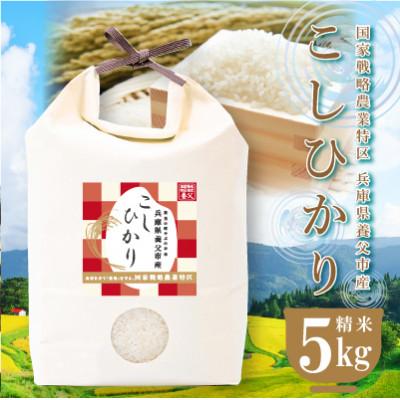 ふるさと納税 養父市 農業特区兵庫県養父市産こしひかり5kg