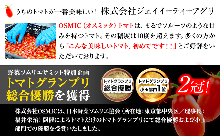 トマト フルーツトマト OSMIC(オスミック)トマト 500g《120日以内に出荷予定(土日祝除く)》 高濃度 株式会社ジェイ・イー・ティ・アグリ 甘い うまみ とまと ミニトマト 野菜 岡山県 笠岡市---A-187a---