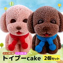 【ふるさと納税】 ケーキ トイプードル Cake 2個 セット スイーツ 立体ケーキ チョコ いちご かわいい 贈答用