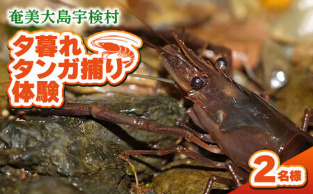 夕暮れタンガ捕り 体験 2名様 奄美大島 宇検村 鹿児島県 旅行 自然 冒険 完全プライベート