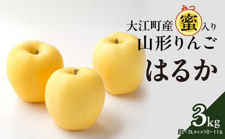 《先行予約》大江町産 山形りんご 「はるか」 3kg 2L～3L 10～11玉【2024年12月上旬頃～発送予定】048-003