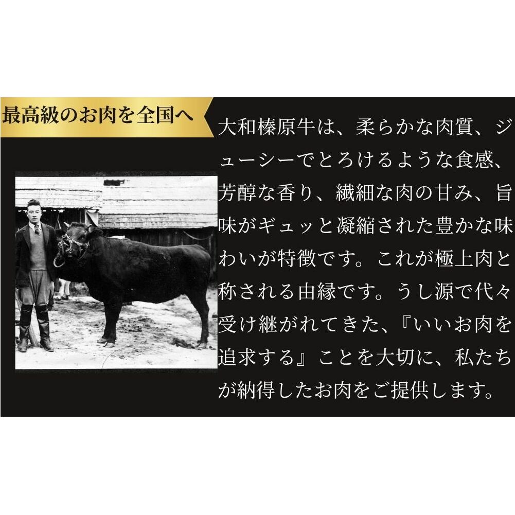 (冷凍) シャトーブリアン 200g×2枚 大和榛原牛 ／うし源本店 A5 フィレ ヒレ ヘレ肉 黒毛和牛 ステーキ 父の日 奈良県 宇陀市 お中元 贈答用 贈り物 暑中見舞い お土産 お歳暮 内祝い