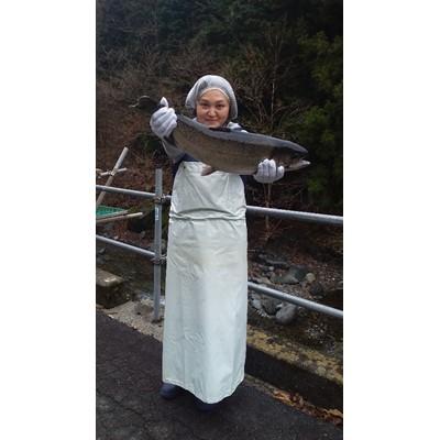 ふるさと納税 山梨県 産地直送!南アルプスの麓で育てた「富士の介丸ごと一本セット」 |  | 03