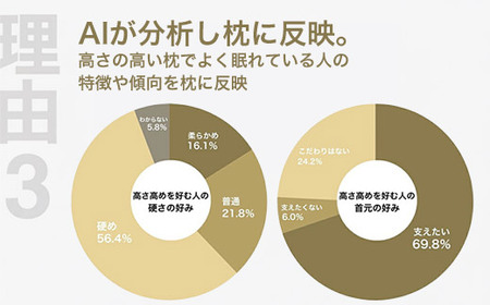 高い枕を好む人向け枕 THE PILLOW Preset 15 Takame