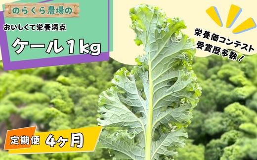 【先行受付】定期便　4カ月　のらくら農場　ケール1kg [NK-T523]