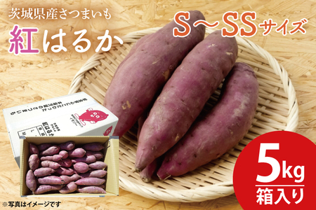 【数量限定】紅はるかS～SSサイズ5kg箱【茨城県共通返礼品/東海村】【茨城県共通返礼品/東海村】【さつまいも 芋 いも  焼き芋 焼芋 やきいも 水戸市 茨城県】（KE-13）