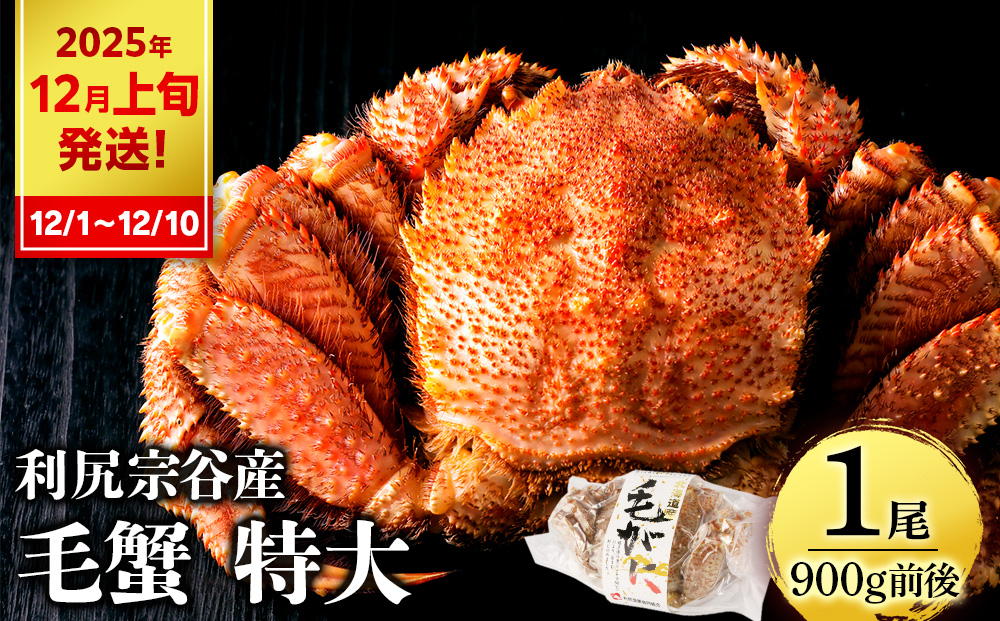 
            【2025年12月1日～12月10日発送】 毛ガニ 特大（900g前後） 1尾＜利尻漁業協同組合＞
          