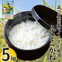 【ふるさと納税】 新米 令和6年産 ふさこがね 5kg 米 白米 お米 おこめ ご飯 ごはん ふさこがね 国産 千葉県 銚子市 根本商店 お弁当 おにぎり 朝食 昼食 夕食 お取り寄せ グルメ 食品 災害 防災 ギフト 贈り物 贈答 プレゼント 送料無料 宅配 和食 保存