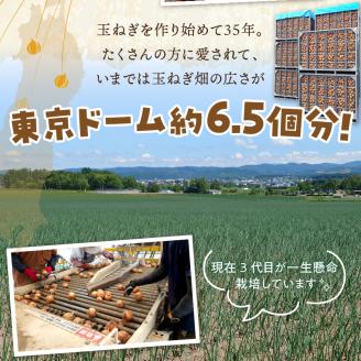 【予約：2024年9月から順次発送】日本一の生産地！北海道北見市の玉ねぎ 5kg！オニオンスープ2本付き♪ ( 玉葱 たまねぎ タマネギ オニオン スープ 即席 料理 )【164-0001-2024】