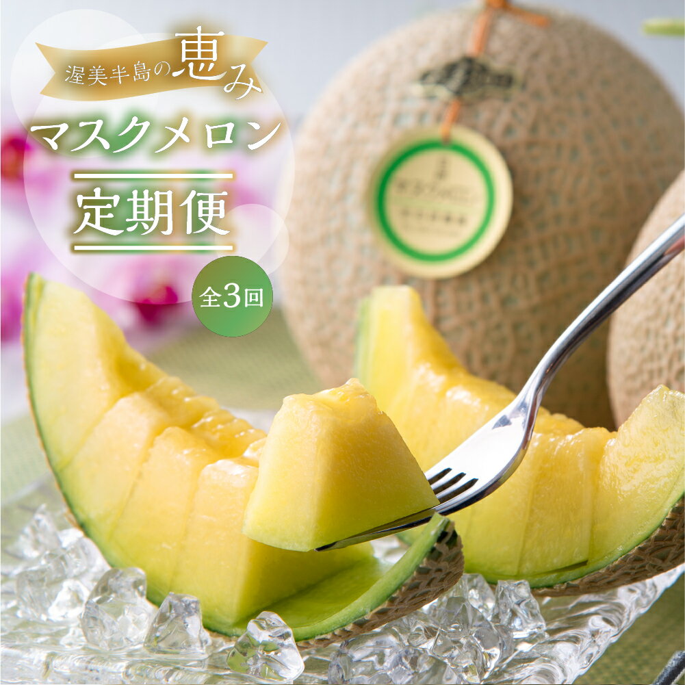 【ふるさと納税】【定期便】先行予約 マスクメロン 3回 伊良湖産 2玉 3Lサイズ 2025年7月スタート 箱詰め メロン フルーツ 果物 お中元 お取り寄せ ギフト 渥美半島 田原市 日研農園 産地直送 送料無料 メロン 糖度 メロン 青肉
