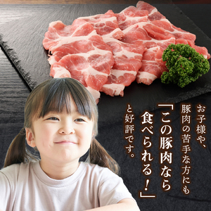 クリスタルポーク生姜焼き500g