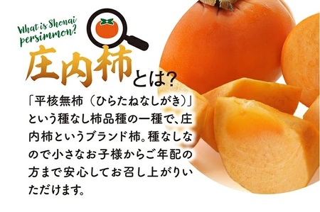 SA2715　果樹専業農家 佐藤農園の庄内柿　約5kg(29～31玉入)　L～2Lサイズ
